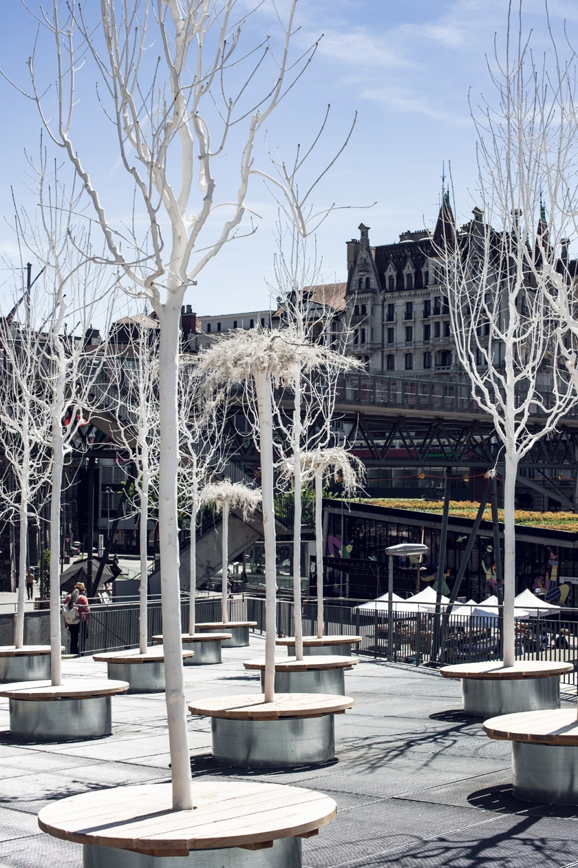 Lausanne Jardins 2019 – Le Verger de la paix – Toiture Bel-Air