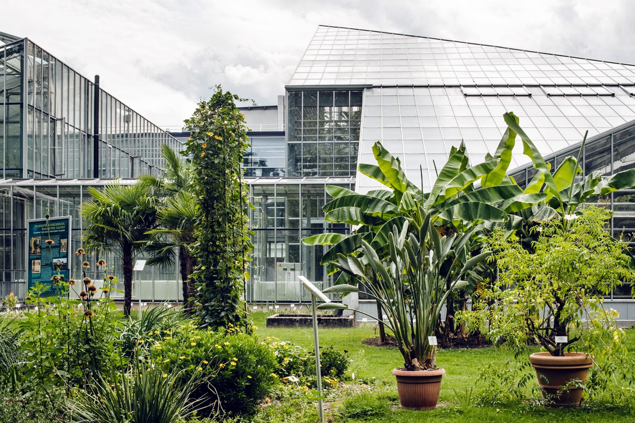 Freiburg im Breisgau – La grande serre du jardin botanique