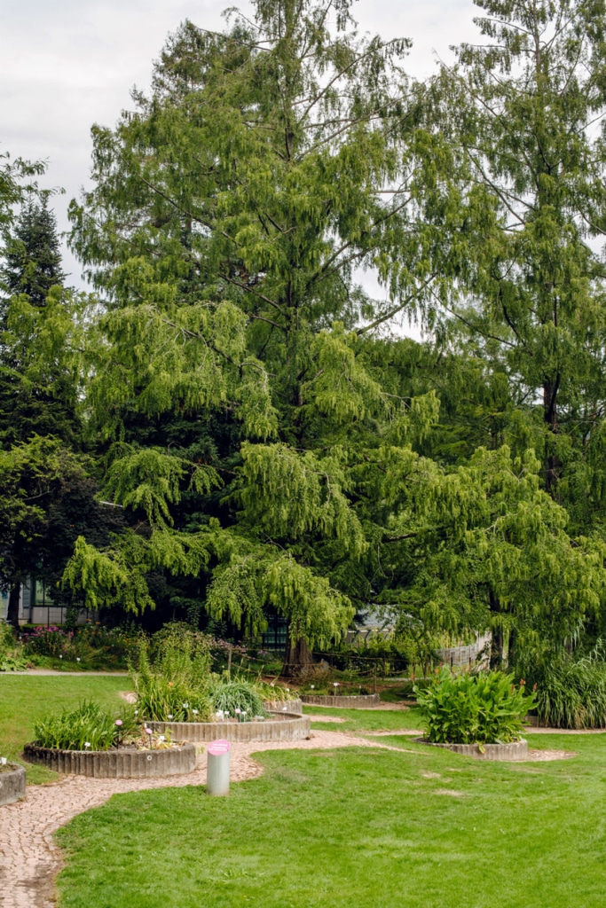 Freiburg im Breisgau – Balade au jardin botanique