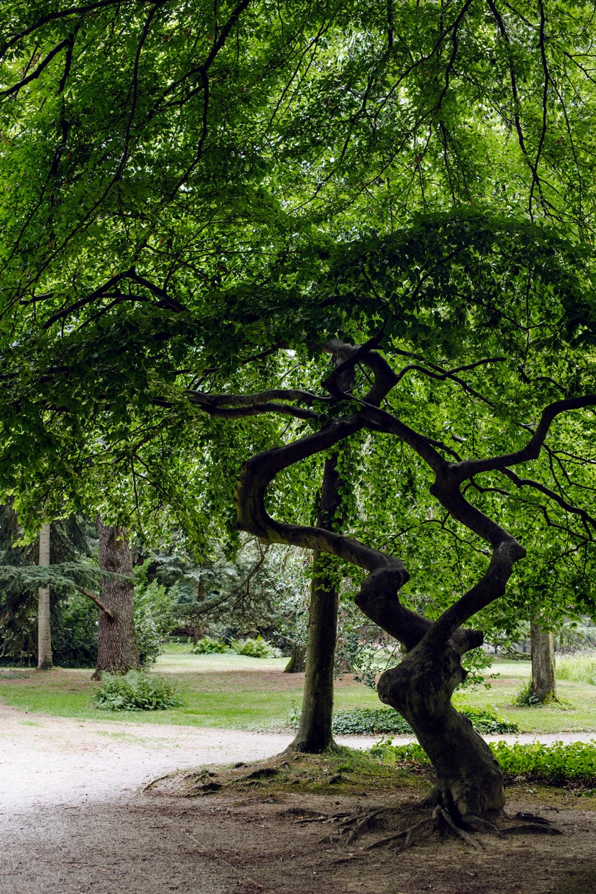 Freiburg im Breisgau – Balade au jardin botanique