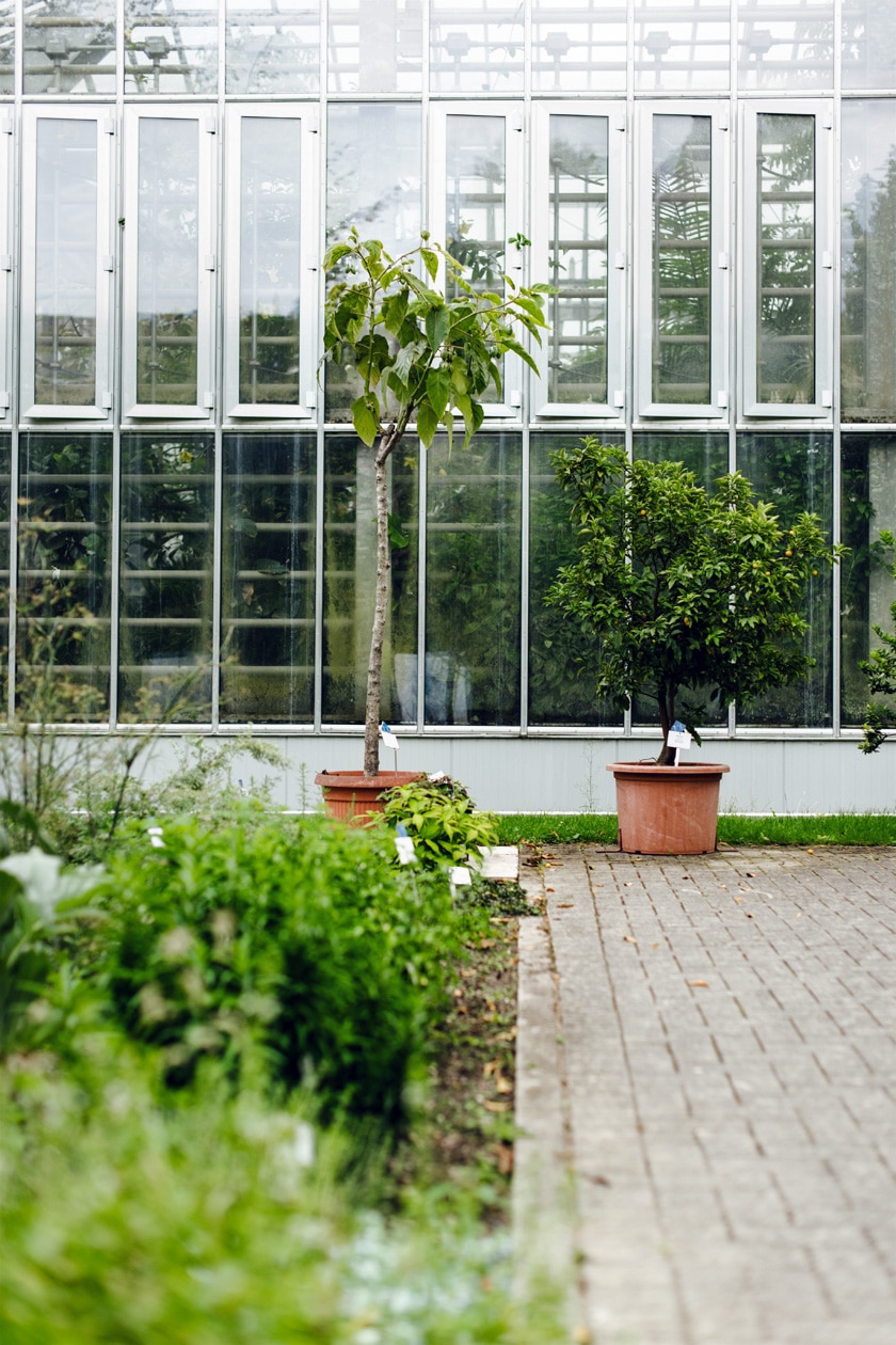 Freiburg im Breisgau – Balade au jardin botanique