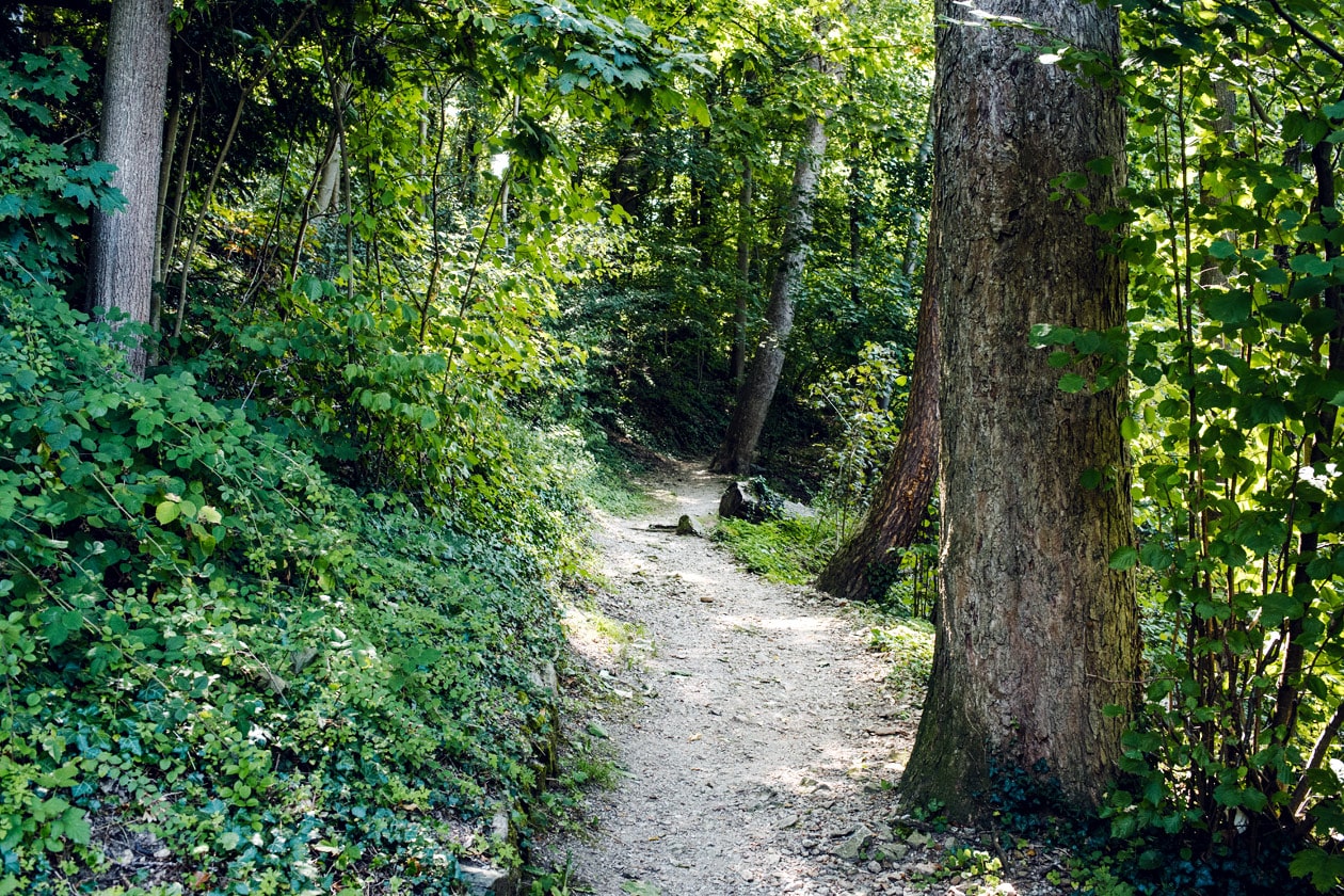 Freiburg im Breisgau – Balade sur la colline du Schlossberg