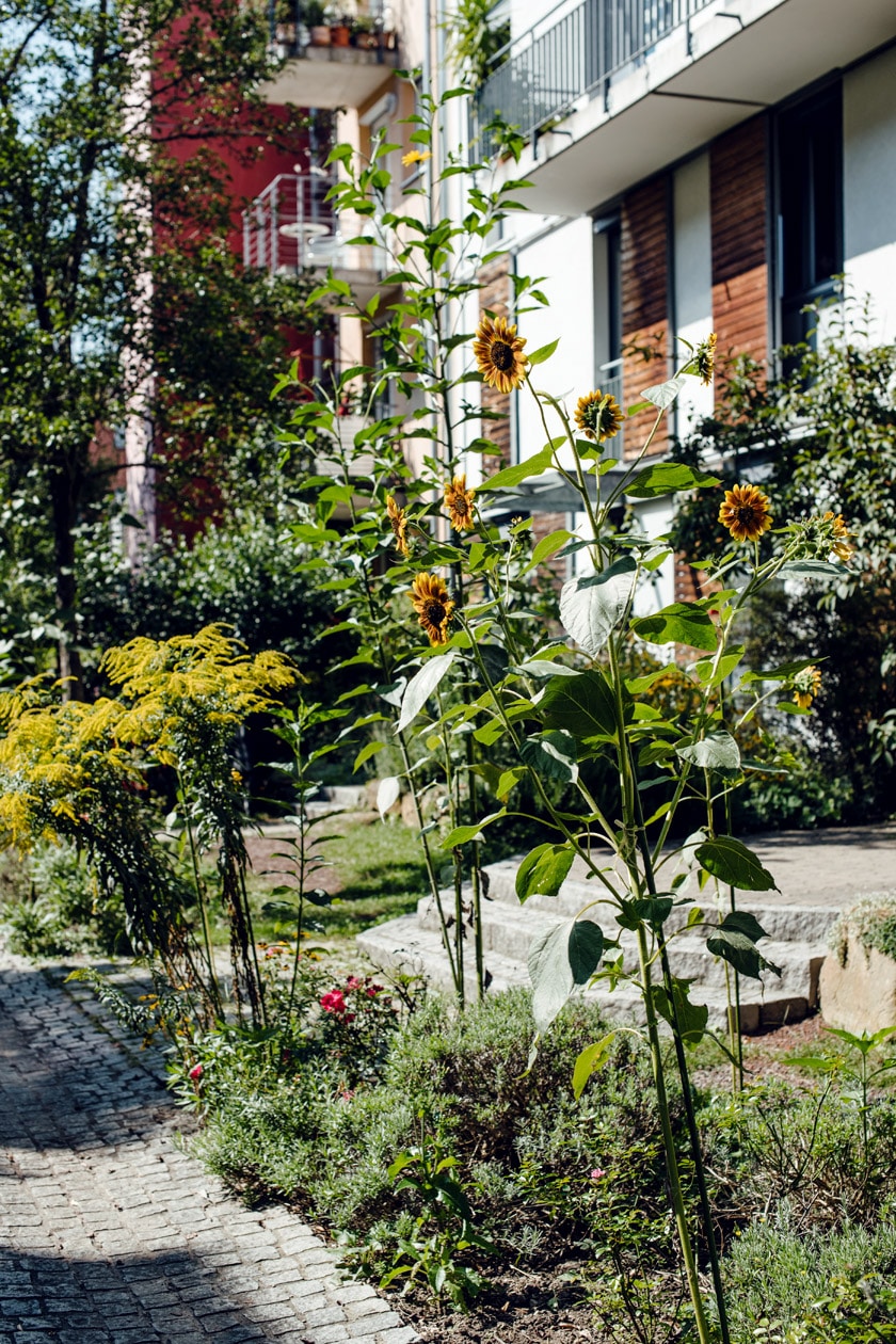 Freiburg im Breisgau – Quartier écologique Vauban