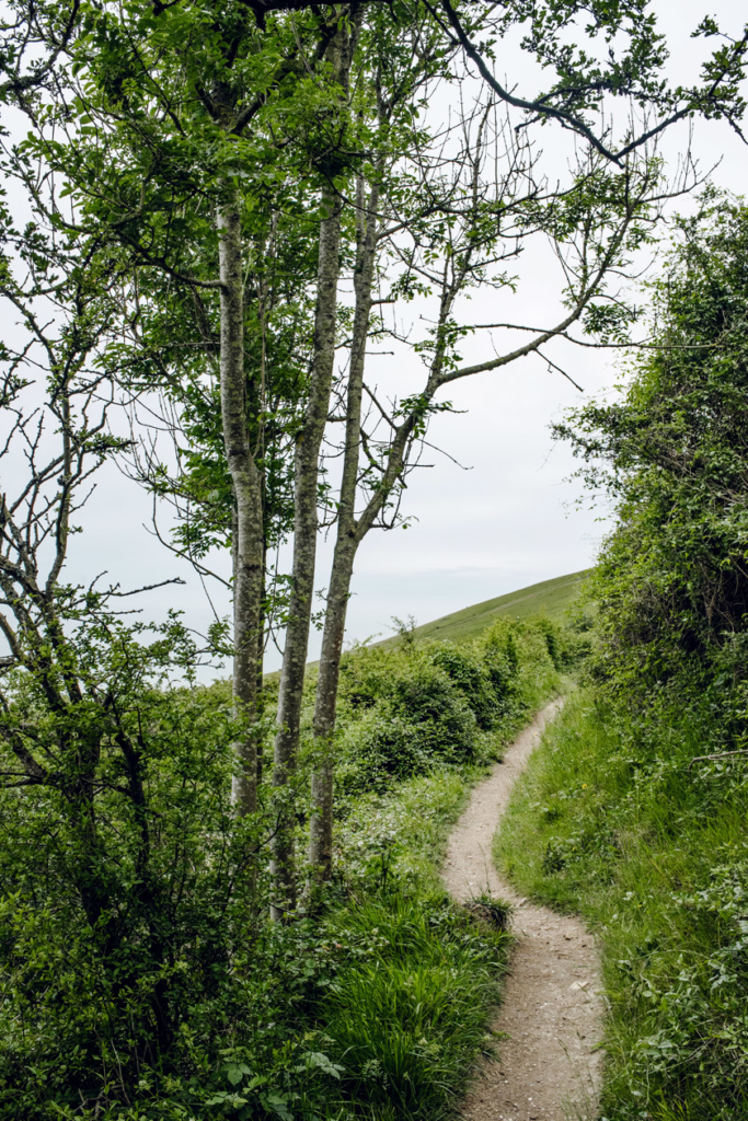 Balade le long des falaises de Beachy Head, dans le sud est de l'Angleterre