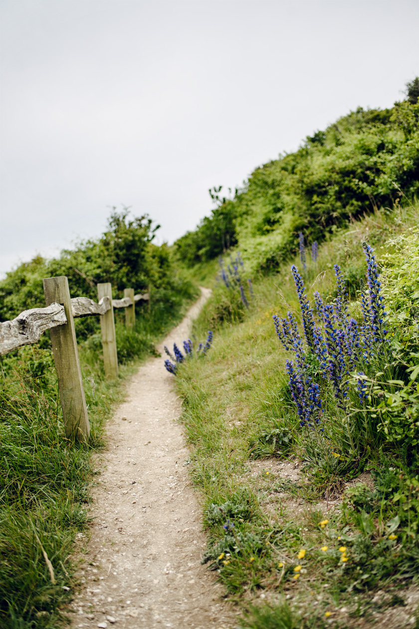 Balade le long des falaises de Beachy Head, dans le sud est de l'Angleterre