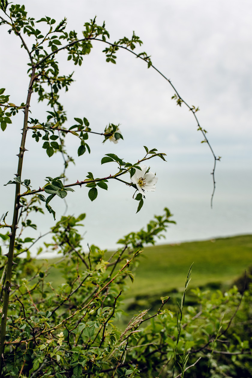 Balade le long des falaises de Beachy Head, dans le sud est de l'Angleterre