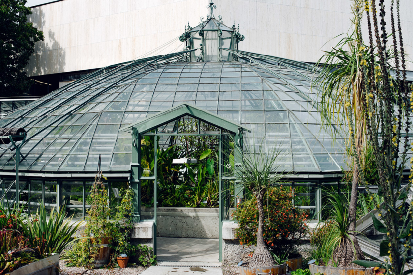 La serre Victoria du jardin botanique de Bâle