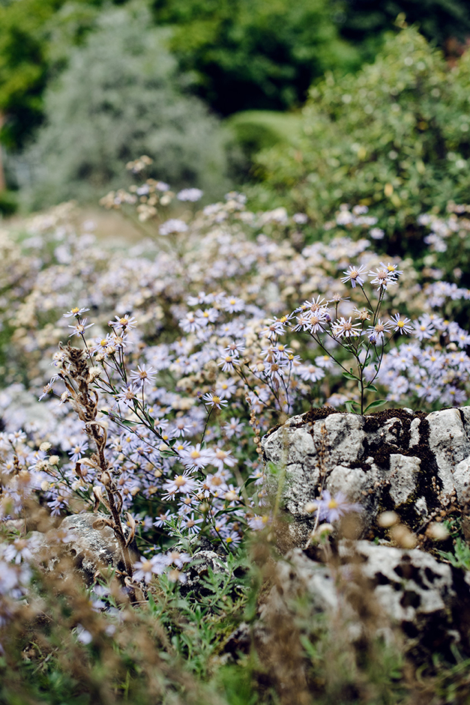 Promenade au jardin botanique de Bâle