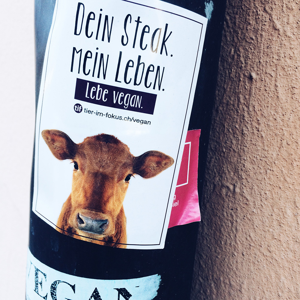 Autocollant antispéciste avec la photo d'un jeune veau et le texte "Ton steak, ma vie"