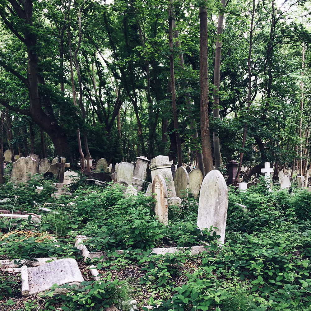 Forêt de pierres tombales dans le cimetière de Highgate, à Londres