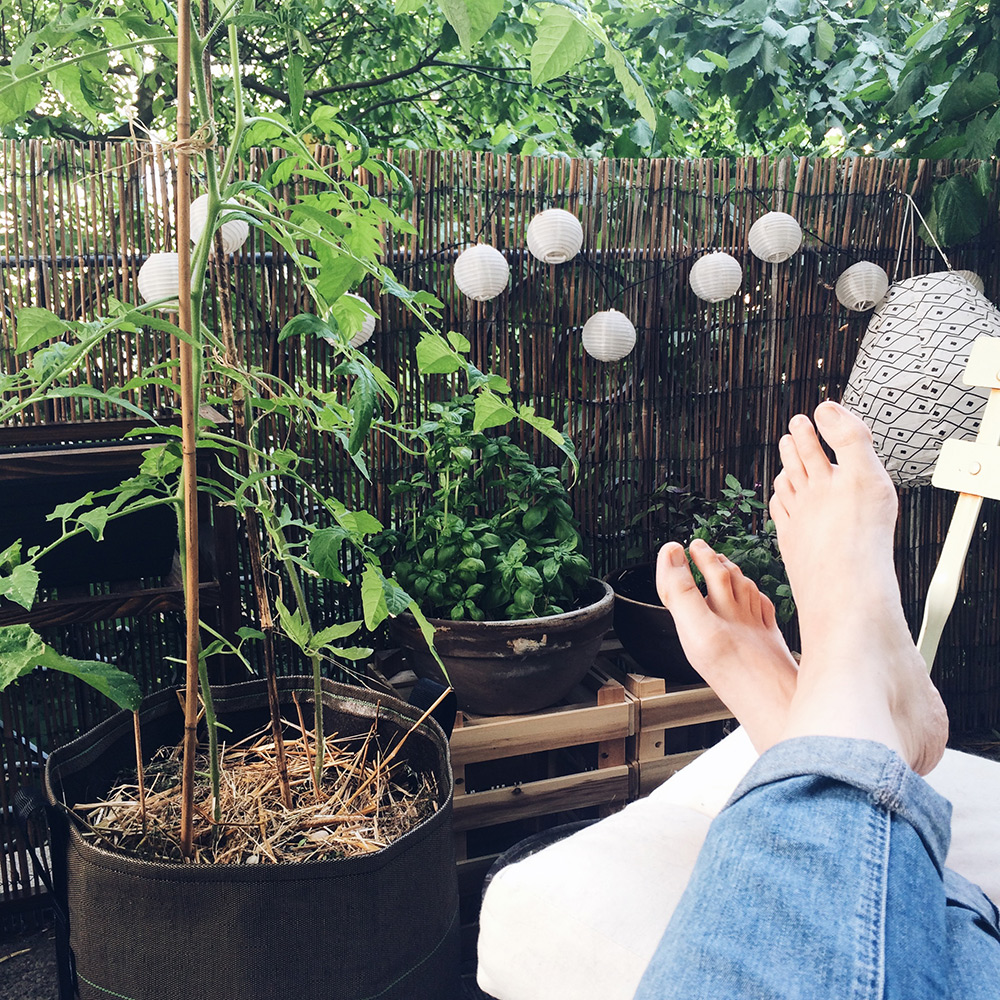 Moment de détente sur le balcon, au milieu des plantes