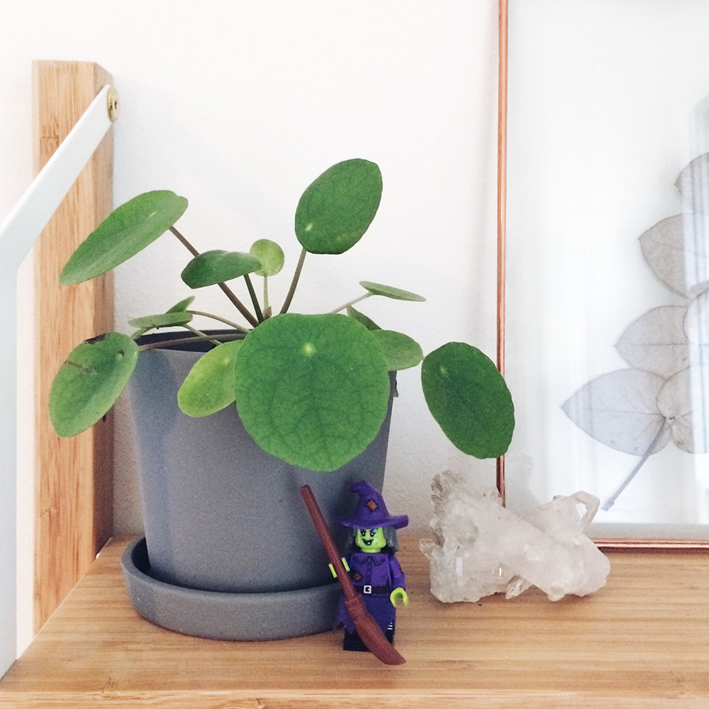 Ma petite pilea, protégée par une sorcière en Lego et un cristal de roche des Alpes suisses