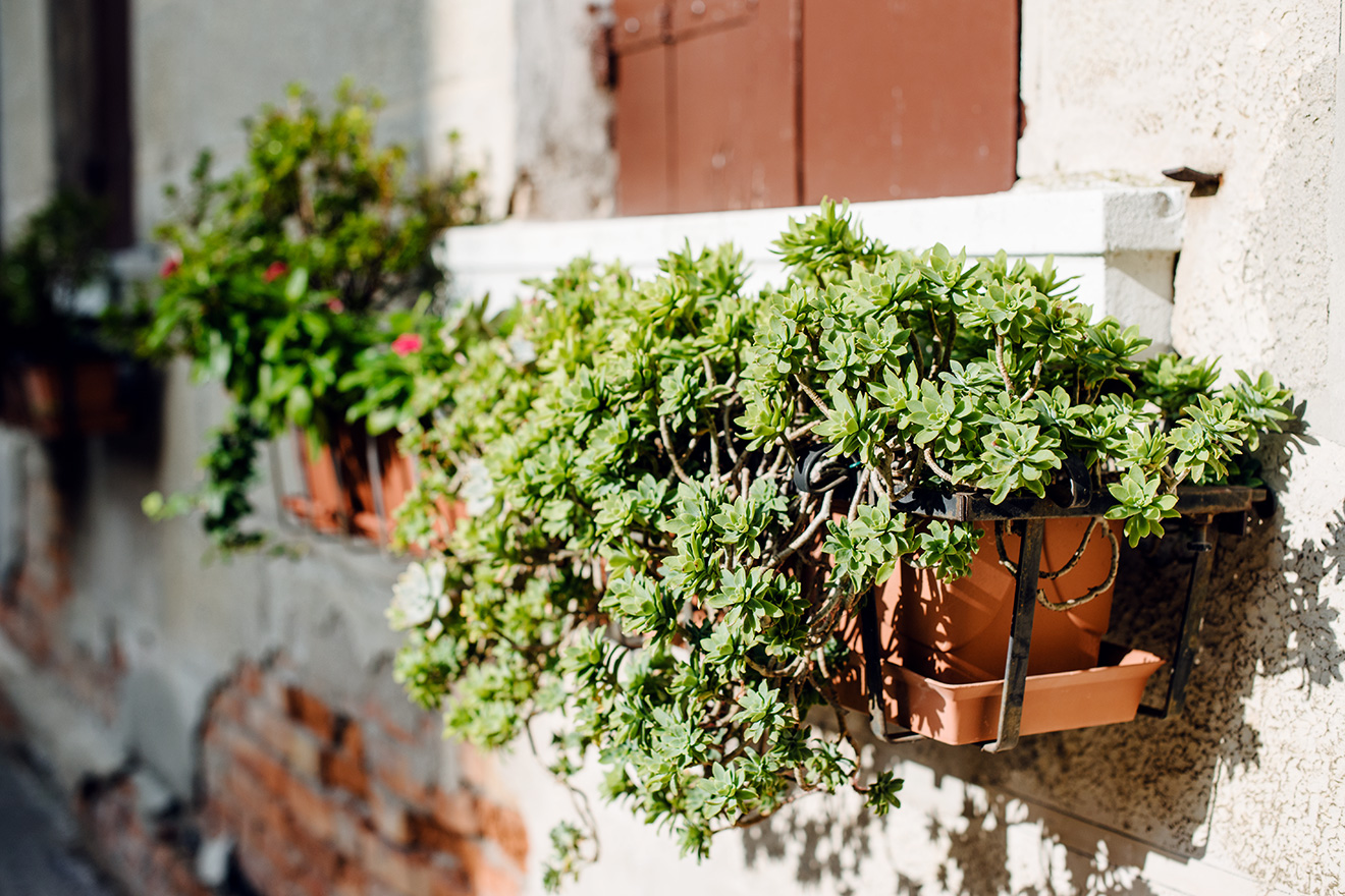 Balade dans le quartier de Cannaregio à Venise