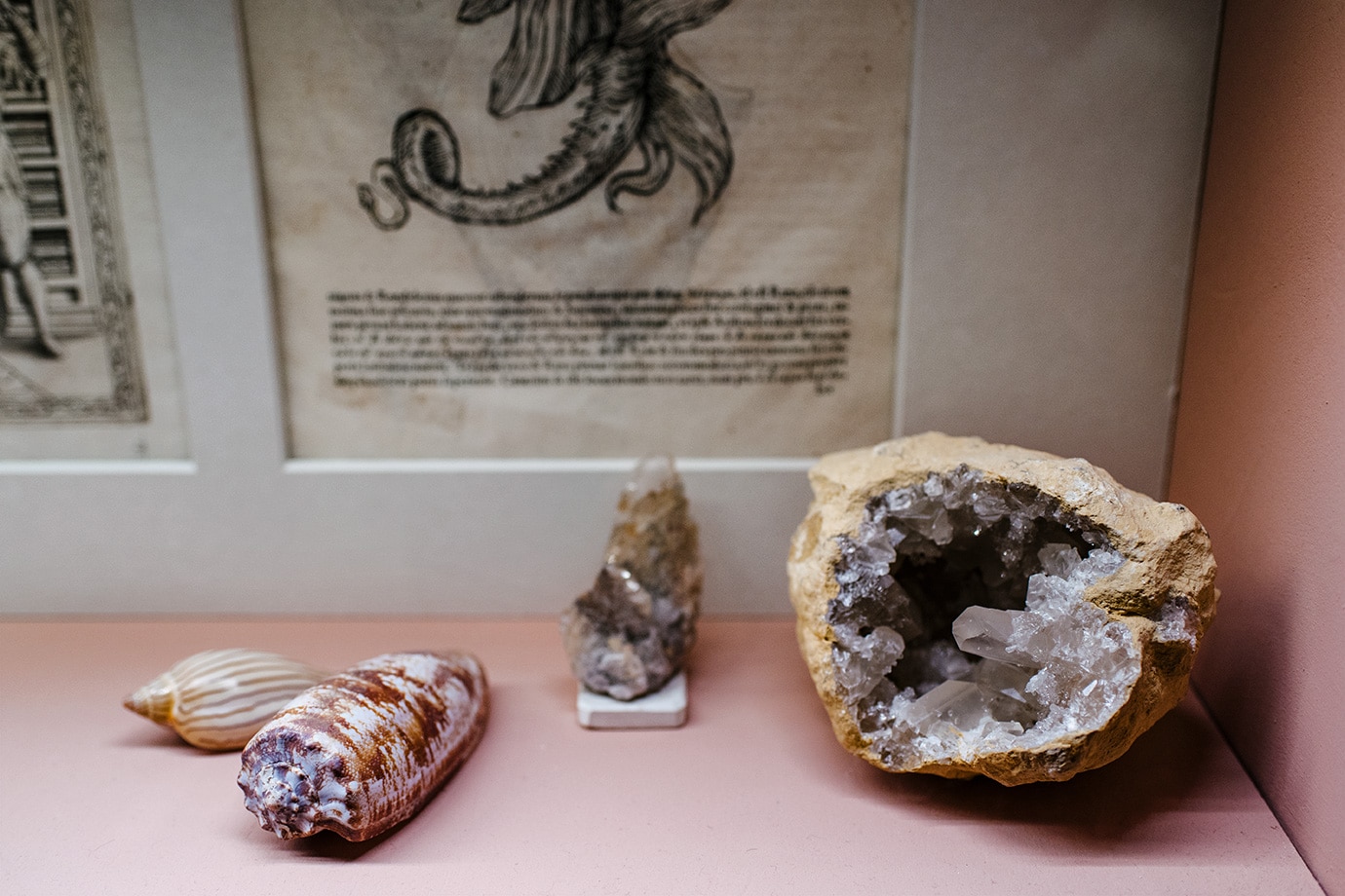Musée d'histoire naturelle de Venise: collection de cristaux