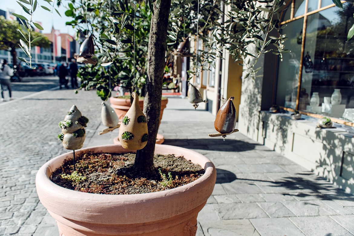 Arbre en pot sur la place de la vieille ville d'Aarberg