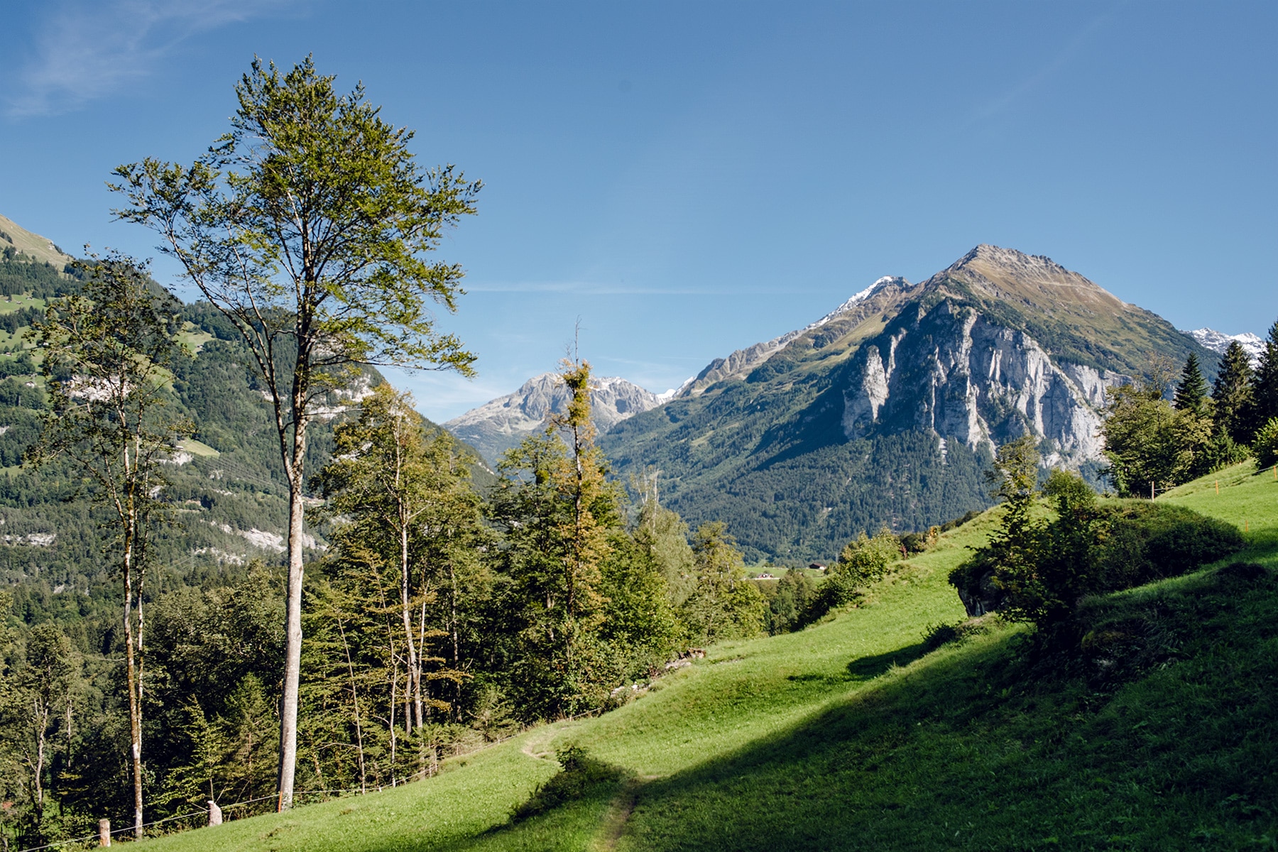 Paysage de carte postale dans l'Oberland bernois