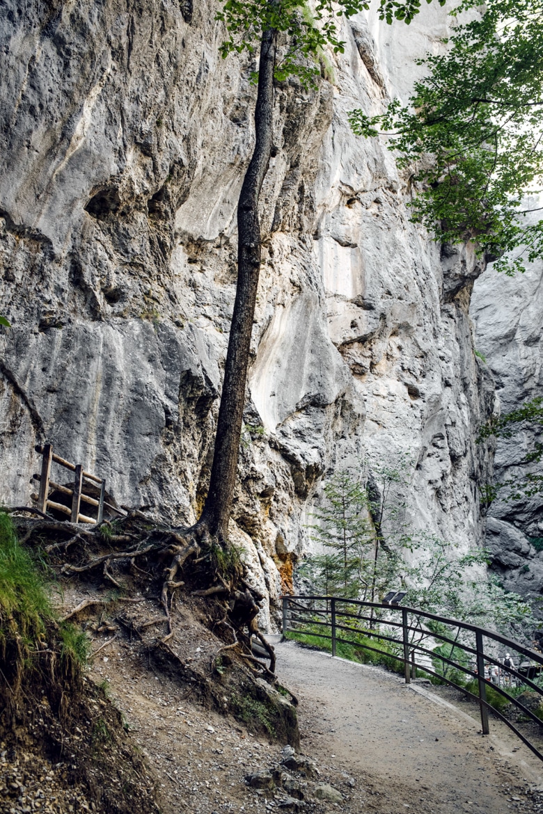 Chemin aménagé à travers les gorges de l'Aar, dans l'Oberland bernois