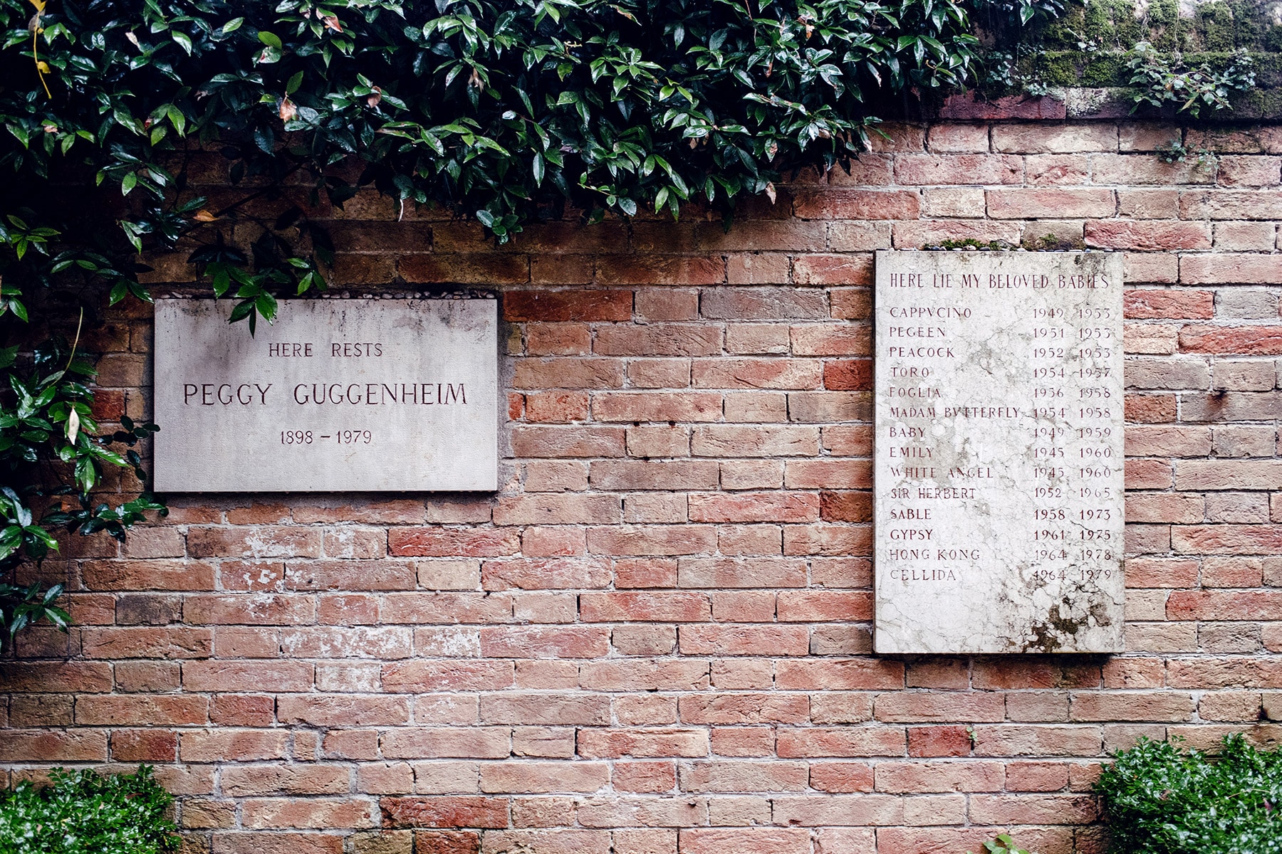 Les tombes de Peggy Guggenheim et de ses 14 chiens, dans les jardins de la Fondation Peggy Guggenheim à Venise