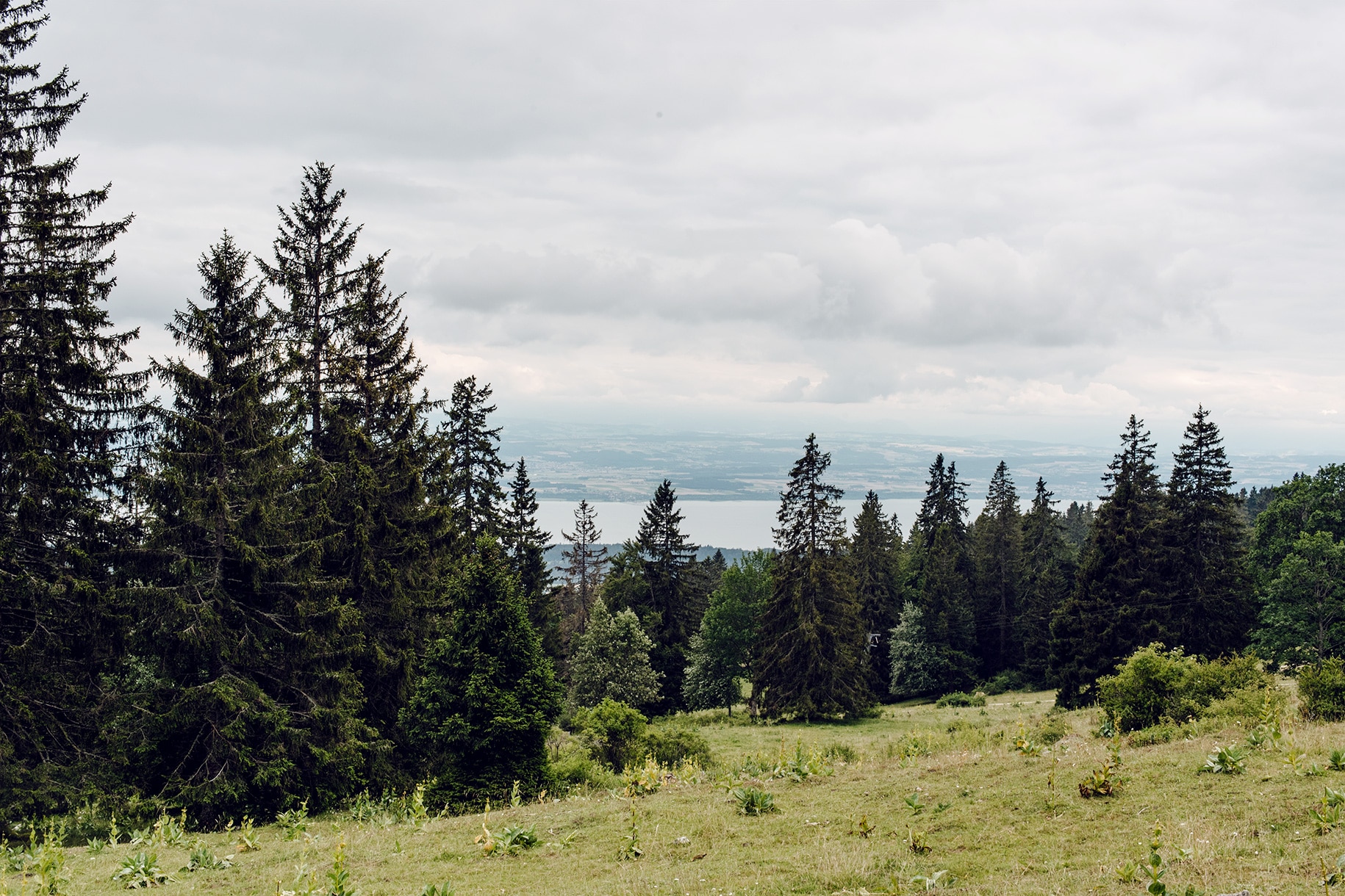 Vue sur le lac de Neuchâtel depuis les pâturages du Val de Ruz