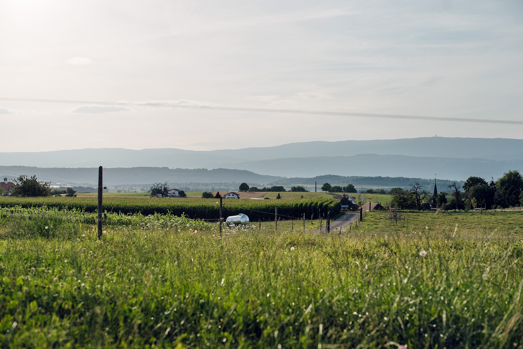 Lumière déclinante sur la campagne seelandaise