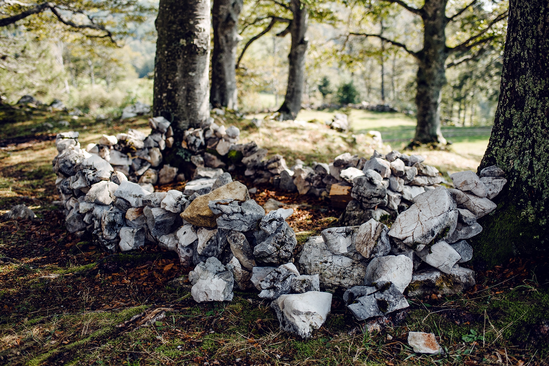 Balade sur le Grenchenberg – cercle de pierres dans la forêt