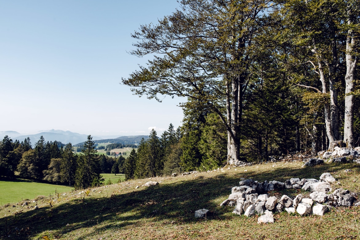 Balade sur le Grenchenberg – vue sur le Jura