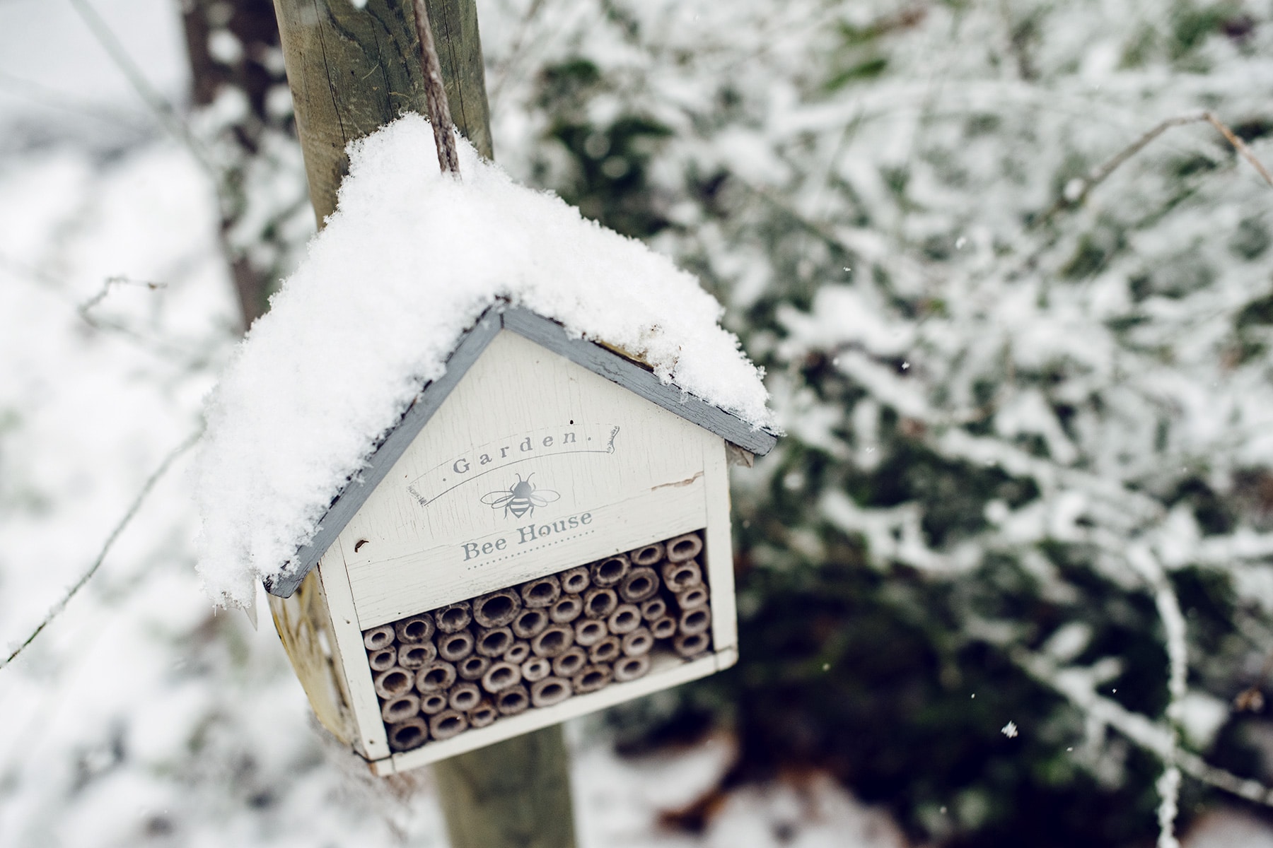 Petit abris pour abeilles recouvert de neige fraiche