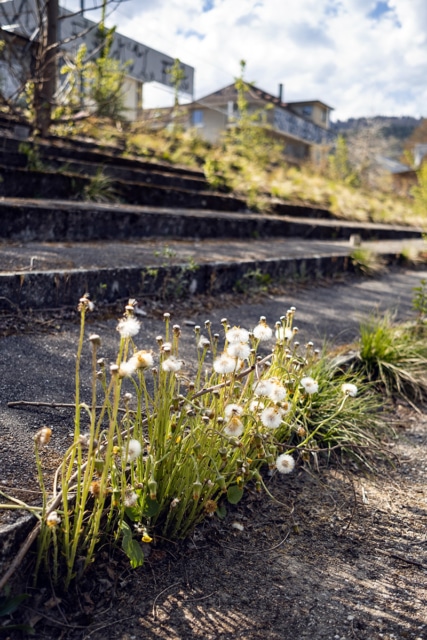 Le printemps au terrain Gurzelen