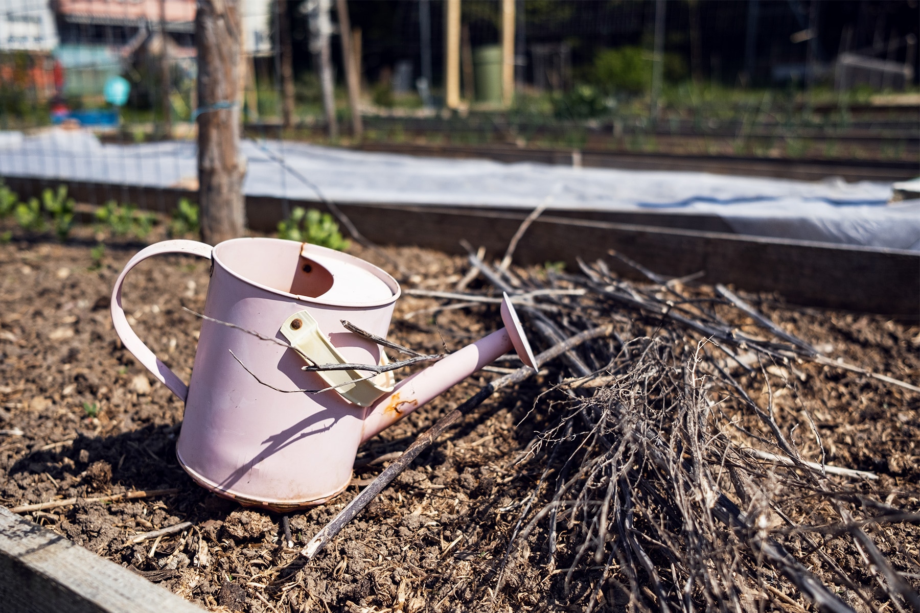 Le printemps au terrain Gurzelen