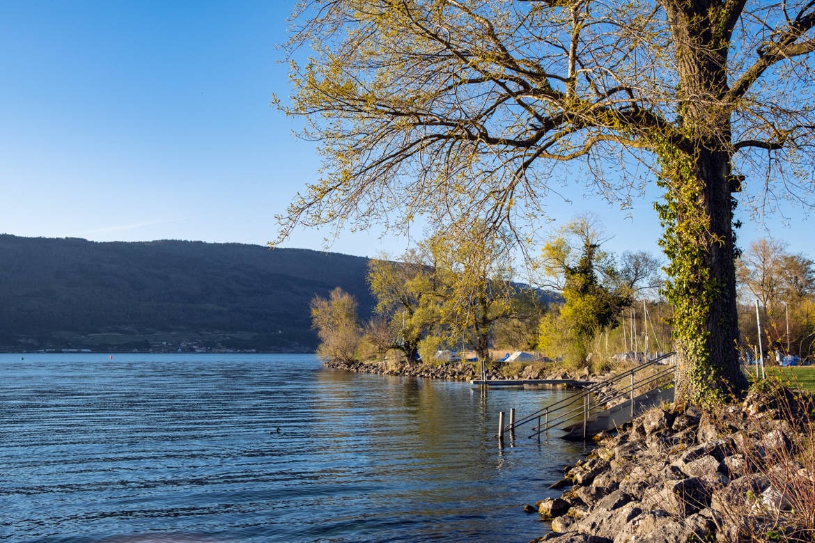 Fin de journée au bord du lac