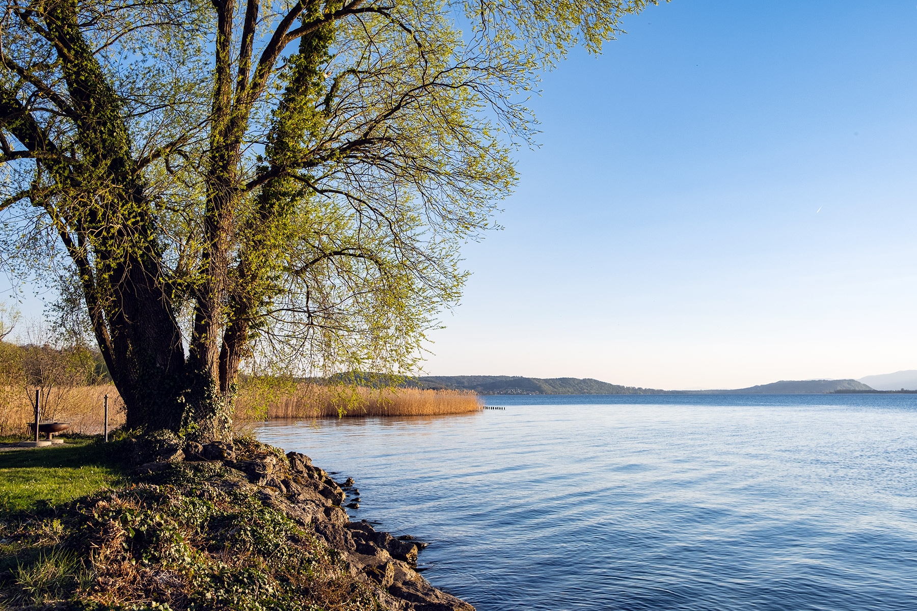 Fin de journée au bord du lac