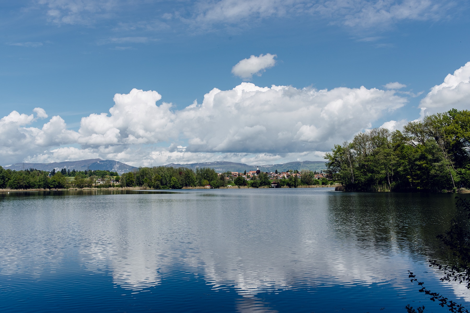 Promenade autour du lac de Burgäschi