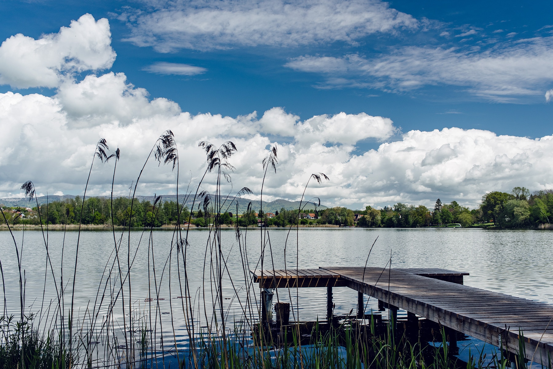 Promenade autour du lac de Burgäschi