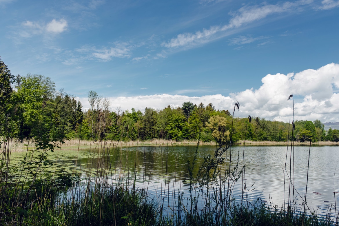 Promenade autour du lac de Bürgaschi