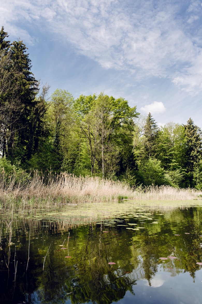 Promenade autour du lac de Burgäschi