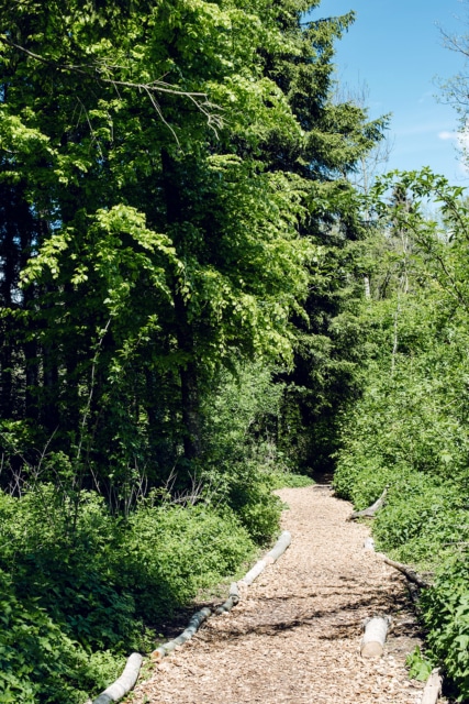 Promenade autour du lac de Burgäschi