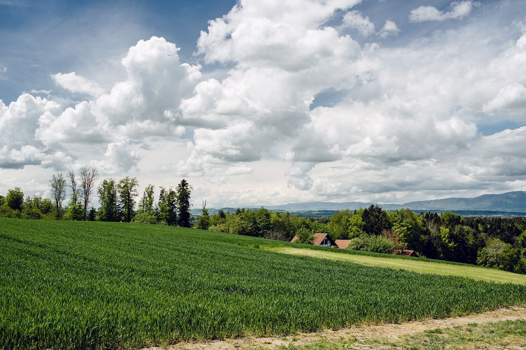 Vue sur la campagne bernoise et soleuroise