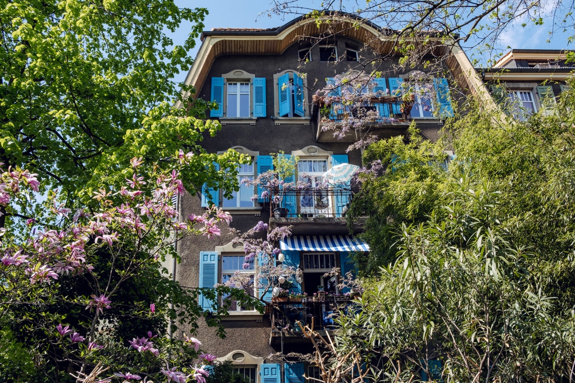 Une grande maison aux volets bleus, en partie cachée derrière la végétation