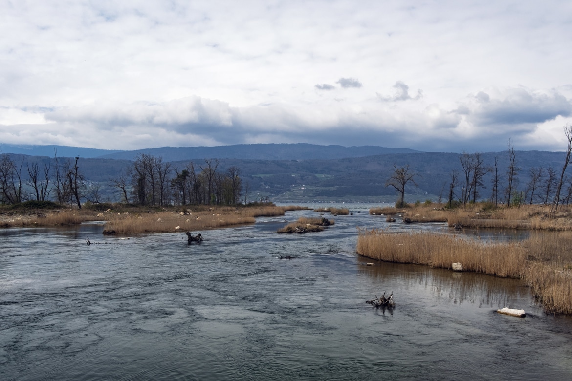 Bord du lac de Bienne à proximité de la centrale hydroélectrique de Hagneck