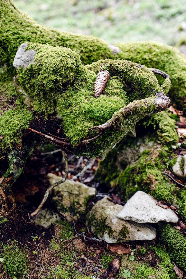 Randonnée dans la forêt au pied des falaises du Grenchenberg