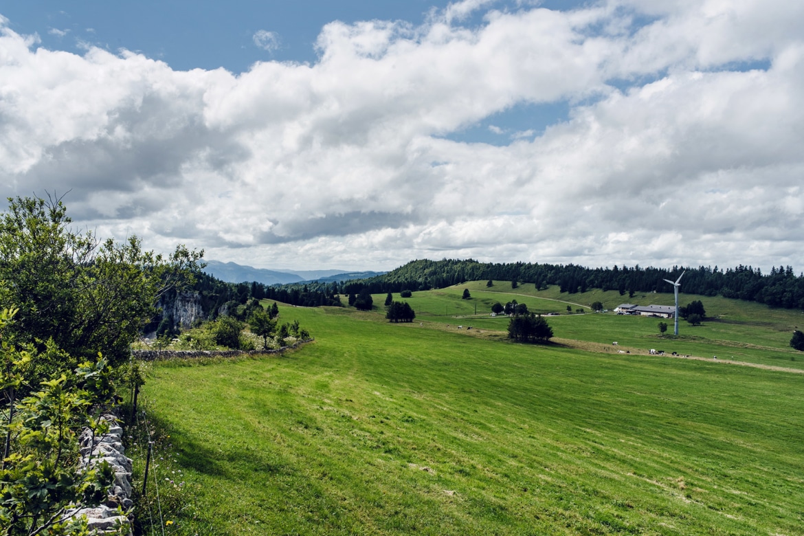 Paysage 100% helvétique: reliefs boisés du Jura et pâturages