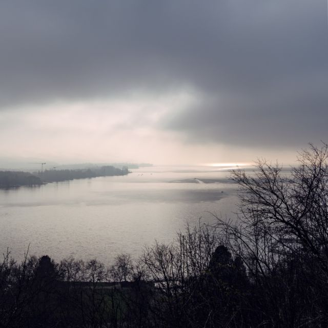 Dimanche après-midi, le brouillard hivernal et l'air froid qui pique qui pique.

#Jura3Lacs #Jura3Seenland #BielBienne #Bielersee #LacDeBienne #igersBielBienne
#BlogSuisseRomande #SwissBlogger #igersSwiss