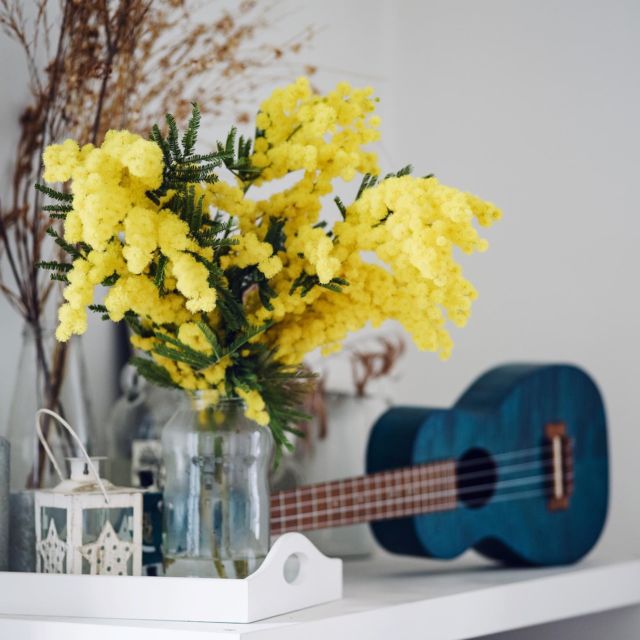 💛

#HappySunday #HomeSweetHome #Mimosa #SpringIsComing
#BlogSuisseRomande #SwissBlogger #igersSwiss