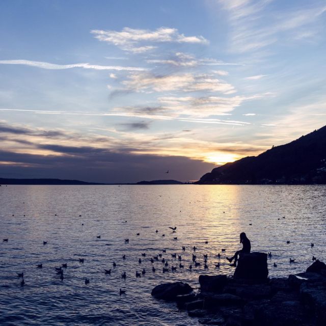 16h40, derniers de rayons du premier soleil de 2023 ✨💜

———
#CoucherDeSoleilSurLeLacDeBienne
#Sunset #Hello2023
#Jura3Lacs #Jura3Seenland #BielBienne #Bielersee #LacDeBienne #igersBielBienne
#BlogSuisseRomande #SwissBlogger #igersSwiss
